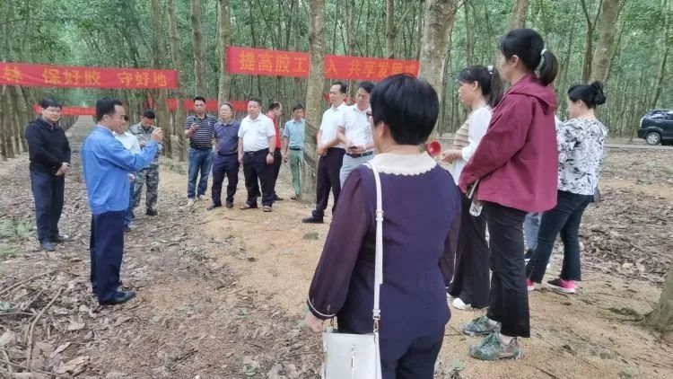 全國割膠冠軍張健給各單位學(xué)員做標(biāo)準(zhǔn)化膠園建設(shè)及割膠技術(shù)的經(jīng)驗介紹。.jpg